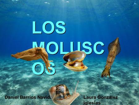 LOS MOLUSC OS Daniel Barrios Navidad Laura González Iglesias.