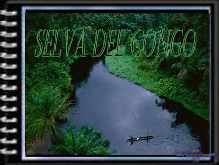 La cuenca del Congo representa una fuente de vital importancia para África. Debido al caudal y a la extensión del río, éste puede albergar la mayor selva.