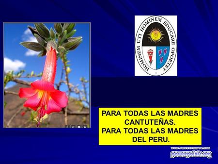 PARA TODAS LAS MADRES CANTUTEÑAS. PARA TODAS LAS MADRES DEL PERU.