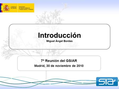 Introducción Miguel Ángel Bordas 7ª Reunión del GSIAR Madrid, 30 de noviembre de 2010.