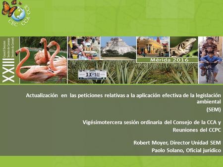 Actualización en las peticiones relativas a la aplicación efectiva de la legislación ambiental (SEM) Vigésimotercera sesión ordinaria del Consejo de la.