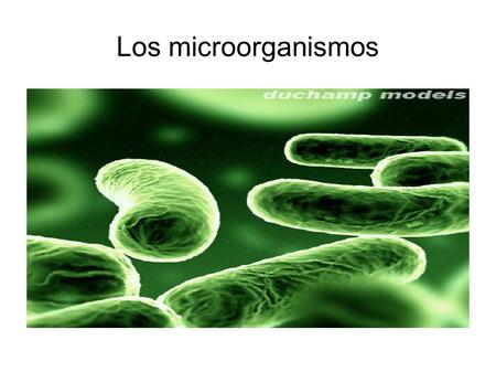 Los microorganismos. Índice ● Los microorganismos ● Fotos de bacterias ● Los microorganismos beneficiosos ● Las bacterias ● Microorganismos en la industria.