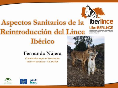 Fernando Nájera Coordinador Aspectos Veterinarios Proyecto Iberlince – AT. DGMA.