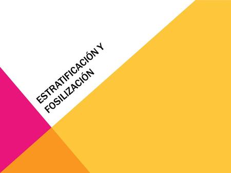 ESTRATIFICACIÓN Y FOSILIZACIÓN. FÓSILES Estos corresponden a registros directos e indirectos que se pueden encontrar. Un registro directo es un hueso.