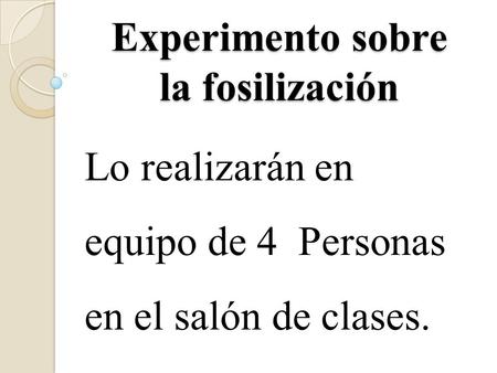 Experimento sobre la fosilización Lo realizarán en equipo de 4 Personas en el salón de clases.