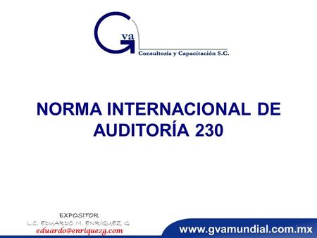 NORMA INTERNACIONAL DE AUDITORÍA 230 EXPOSITOR L.C. EDUARDO M. ENRÍQUEZ G. 1.