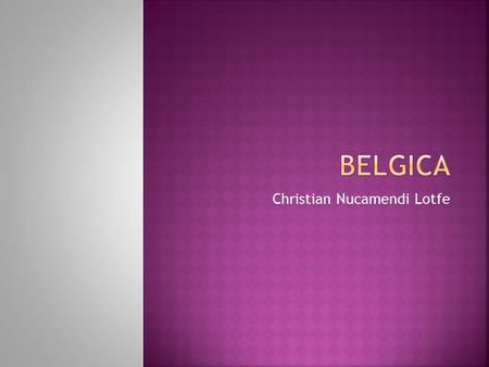 Christian Nucamendi Lotfe.  Bélgica es un país de Europa Noroccidental. Es uno de los miembros fundadores de la Unión Europea cuyas instituciones principales.