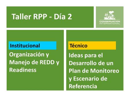 Organización y Manejo de REDD y Readiness Ideas para el Desarrollo de un Plan de Monitoreo y Escenario de Referencia Taller RPP - Día 2 InstitucionalTécnico.