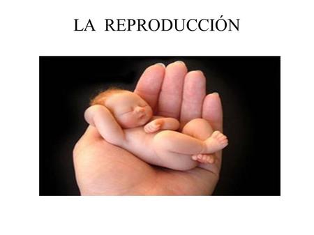 LA REPRODUCCIÓN Alba Polo García. Aparato reproductor femenino.