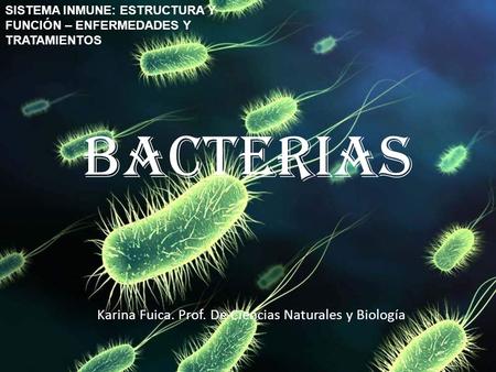 BACTERIAS Karina Fuica. Prof. De Ciencias Naturales y Biología SISTEMA INMUNE: ESTRUCTURA Y FUNCIÓN – ENFERMEDADES Y TRATAMIENTOS.