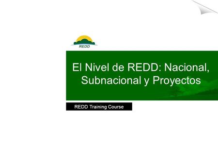 LOGO here REDD Training Course El Nivel de REDD: Nacional, Subnacional y Proyectos.