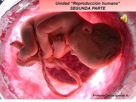 Unidad “Reproducción humana” SEGUNDA PARTE Profesor Carlos Iglesias A.-