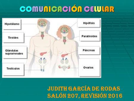 COMUNICACIÓN CELULAR Judith García de Rodas Salón 207, revisión 2016.