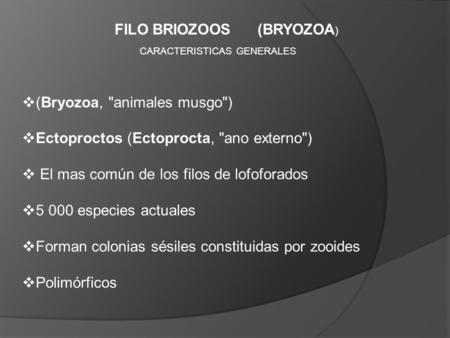 FILO BRIOZOOS (BRYOZOA)