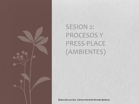 Elaborado por Dra. Adriana Nachieli Morales Ballinas SESION 2: PROCESOS Y PRESS-PLACE (AMBIENTES)