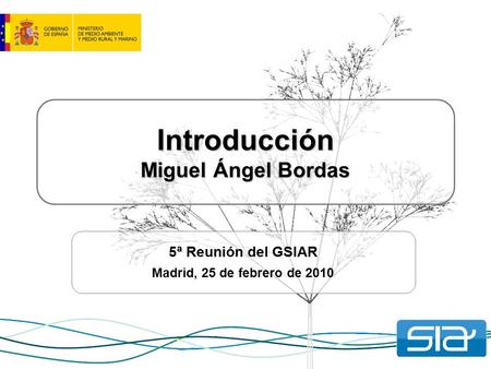 Introducción Miguel Ángel Bordas 5ª Reunión del GSIAR Madrid, 25 de febrero de 2010.