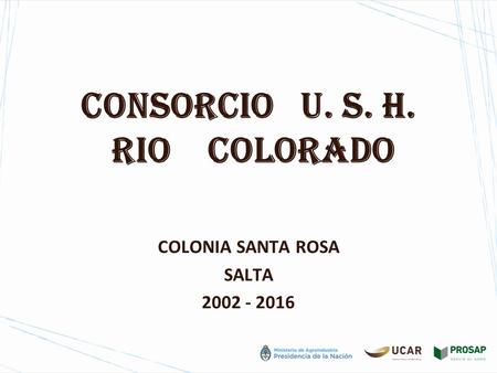 CONSORCIO U. S. H. RIO COLORADO COLONIA SANTA ROSA SALTA 2002 - 2016.