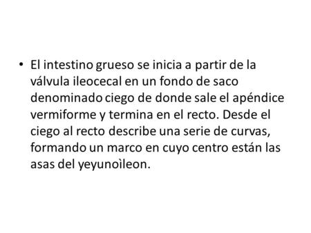 El intestino grueso se inicia a partir de la válvula ileocecal en un fondo de saco denominado ciego de donde sale el apéndice vermiforme y termina en el.