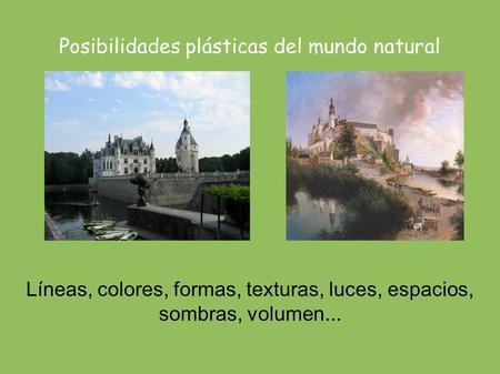 Posibilidades plásticas del mundo natural Líneas, colores, formas, texturas, luces, espacios, sombras, volumen...