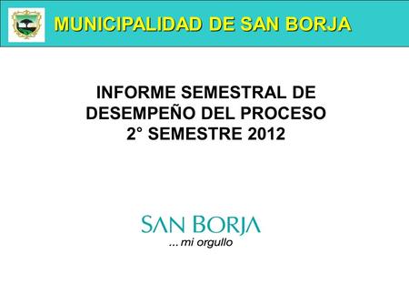 MUNICIPALIDAD DE SAN BORJA INFORME SEMESTRAL DE DESEMPEÑO DEL PROCESO 2° SEMESTRE 2012.