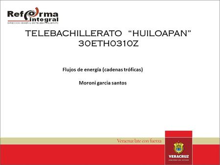 TELEBACHILLERATO “HUILOAPAN” 30ETH0310Z Flujos de energía (cadenas tróficas) Moroni garcia santos.