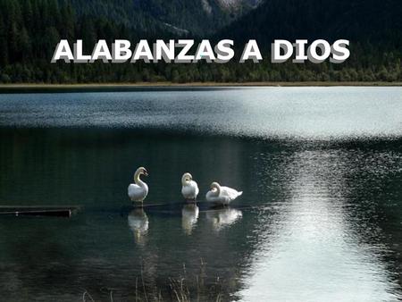 ALABANZAS A DIOS. manifiestos en la creación … ‘Te rindo alabanzas, oh mi Dios, por cuanto la fragancia de Tu bondad me ha arrobado y las suaves brisas.
