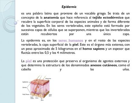 Epidermis es una palabra latina que proviene de un vocablo griego. Se trata de un concepto de la anatomía que hace referencia al tejido ectodérmico que.