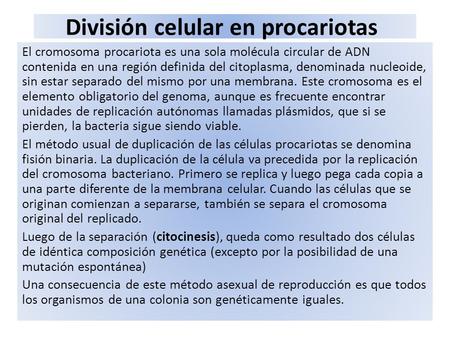 División celular en procariotas El cromosoma procariota es una sola molécula circular de ADN contenida en una región definida del citoplasma, denominada.