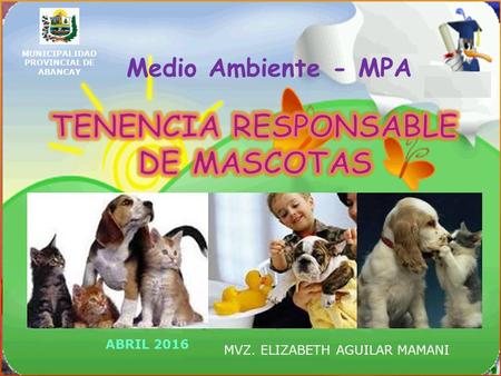 MUNICIPALIDAD PROVINCIAL DE ABANCAY Medio Ambiente - MPA ABRIL 2016 MVZ. ELIZABETH AGUILAR MAMANI.