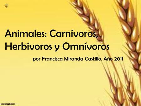 Animales: Carnívoros, Herbívoros y Omnívoros por Francisca Miranda Castillo. Año 2011.