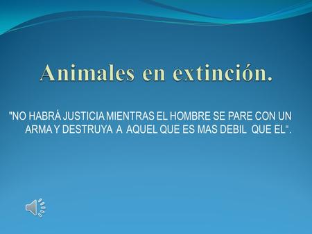 NO HABRÁ JUSTICIA MIENTRAS EL HOMBRE SE PARE CON UN ARMA Y DESTRUYA A AQUEL QUE ES MAS DEBIL QUE EL“.