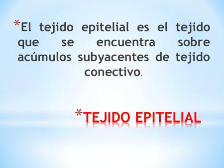 * El tejido epitelial es el tejido que se encuentra sobre acúmulos subyacentes de tejido conectivo.