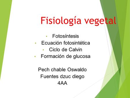 Fisiología vegetal Fotosíntesis Ecuación fotosintética Ciclo de Calvin Formación de glucosa Pech chable Oswaldo Fuentes dzuc diego 4AA.