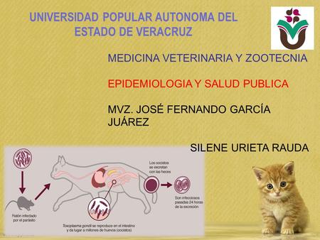 UNIVERSIDAD POPULAR AUTONOMA DEL ESTADO DE VERACRUZ MEDICINA VETERINARIA Y ZOOTECNIA EPIDEMIOLOGIA Y SALUD PUBLICA MVZ. JOSÉ FERNANDO GARCÍA JUÁREZ SILENE.