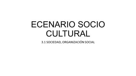 ECENARIO SOCIO CULTURAL 3.1 SOCIEDAD, ORGANIZACIÓN SOCIAL.