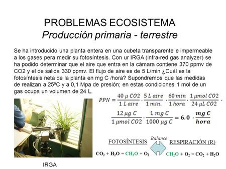Producción primaria - terrestre