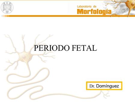 PERIODO FETAL Dr. Domínguez.
