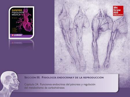 S ECCIÓN III. F ISIOLOGÍA ENDOCRINA Y DE LA REPRODUCCIÓN Capítulo 24. Funciones endocrinas del páncreas y regulación del metabolismo de carbohidratos.