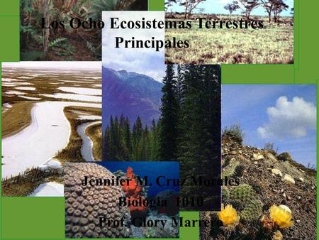 Los Ocho Ecosistemas Terrestres Principales Jennifer M. Cruz Morales Biologia 1010 Prof. Glory Marrero.
