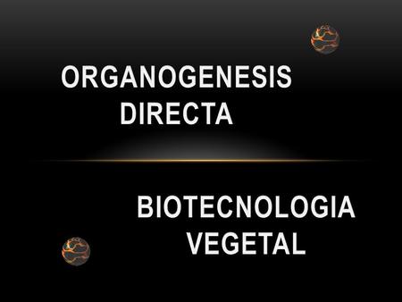 consiste en inducir la diferenciación de yemas de tallo directamente sobre un tejido que no las tenga preformadas y sin que éste pase por un estado.