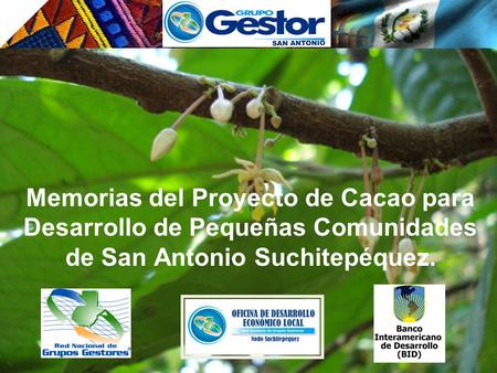 Memorias del Proyecto de Cacao para Desarrollo de Pequeñas Comunidades de San Antonio Suchitepéquez.