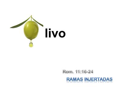 Livo. el olivo Asociado con buena economía (1S. 8:14; 2R. 5:26) Productividad, belleza y dignidad (Sal 52:8; Jer 11:16; Oseas 14:6 Sus ramas estaban entre.