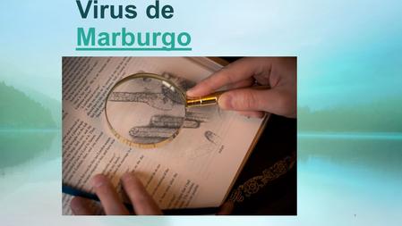 Virus de Marburgo Marburgo 1. INDICE 2 ¿Qué es? (causas y consecuencias) Brotes Transmisión Signos y síntomas Datos y cifras Diagnóstico, tratamiento.