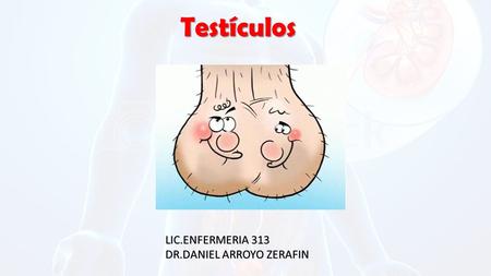 Testículos LIC.ENFERMERIA 313 DR.DANIEL ARROYO ZERAFIN.