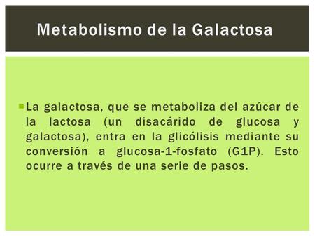  La galactosa, que se metaboliza del azúcar de la lactosa (un disacárido de glucosa y galactosa), entra en la glicólisis mediante su conversión a glucosa-1-fosfato.