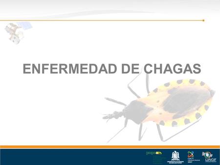 ENFERMEDAD DE CHAGAS. 2 ¿Qué es la enfermedad de Chagas? El mal de Chagas es una enfermedad producida por un parásito llamado Trypanosoma cruzi que es.