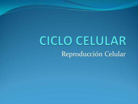 Reproducción Celular. Ciclo celular Mitosis Citocinesis Meiosis.