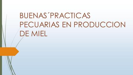 BUENAS´PRACTICAS PECUARIAS EN PRODUCCION DE MIEL.