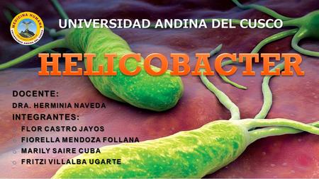 UNIVERSIDAD ANDINA DEL CUSCO DOCENTE: DRA. HERMINIA NAVEDA INTEGRANTES: o FLOR CASTRO JAYOS o FIORELLA MENDOZA FOLLANA o MARILY SAIRE CUBA o FRITZI VILLALBA.