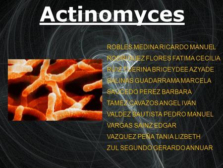 Actinomyces ROBLES MEDINA RICARDO MANUEL RODRIGUEZ FLORES FATIMA CECILIA RUIZ TIJERINA BRICEYDEE AZYADE SALINAS GUADARRAMA MARCELA SAUCEDO PEREZ BARBARA.